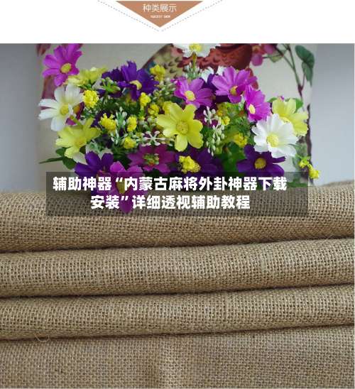 辅助神器“内蒙古麻将外卦神器下载安装”详细透视辅助教程-第1张图片