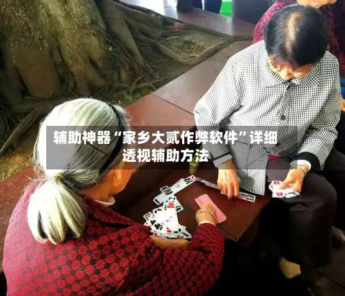 辅助神器“家乡大贰作弊软件”详细透视辅助方法-第2张图片