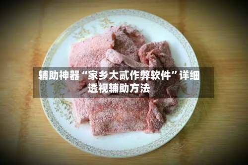 辅助神器“家乡大贰作弊软件”详细透视辅助方法-第3张图片