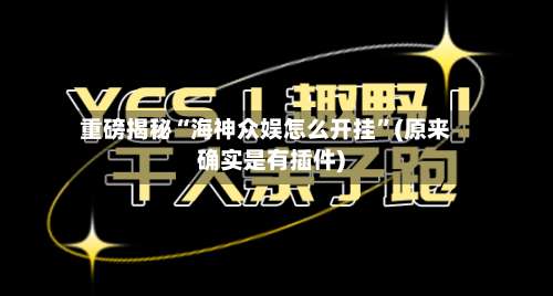 重磅揭秘“海神众娱怎么开挂	”(原来确实是有插件)-第3张图片