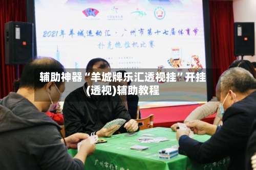 辅助神器“羊城牌乐汇透视挂	”开挂(透视)辅助教程-第2张图片