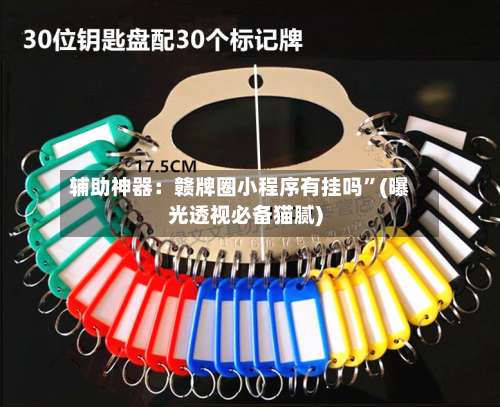 辅助神器：赣牌圈小程序有挂吗”(曝光透视必备猫腻)-第1张图片