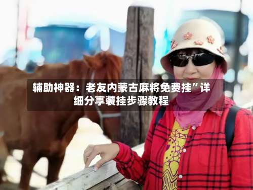 辅助神器：老友内蒙古麻将免费挂	”详细分享装挂步骤教程-第1张图片