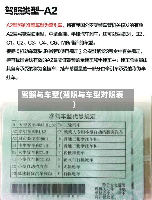 驾照与车型(驾照与车型对照表)-第1张图片