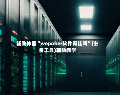 辅助神器“wepoker软件有挂吗”(必备工具)辅助教学-第2张图片