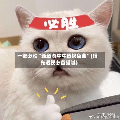 一键必胜“新道游牛牛透视免费”(曝光透视必备猫腻)-第3张图片