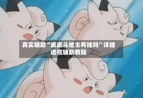 真实辅助“皮皮斗地主有挂吗”详细透视辅助教程-第3张图片