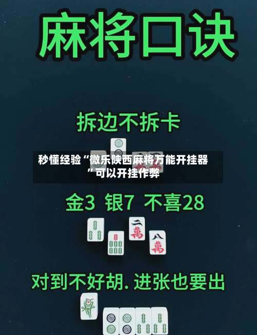 秒懂经验“微乐陕西麻将万能开挂器”可以开挂作弊-第1张图片