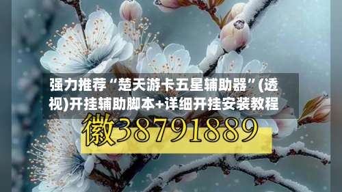 强力推荐“楚天游卡五星辅助器”(透视)开挂辅助脚本+详细开挂安装教程-第3张图片