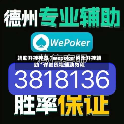 辅助开挂神器“wepoker德州开挂辅助”详细透视辅助教程-第2张图片