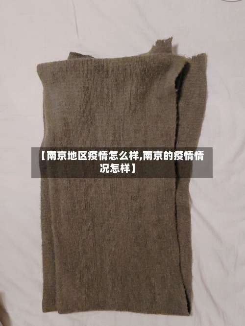 【南京地区疫情怎么样,南京的疫情情况怎样】-第3张图片