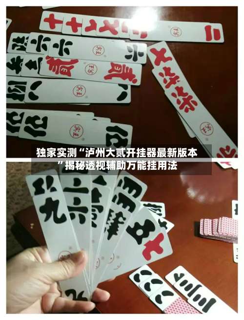 独家实测“泸州大贰开挂器最新版本”揭秘透视辅助万能挂用法-第2张图片