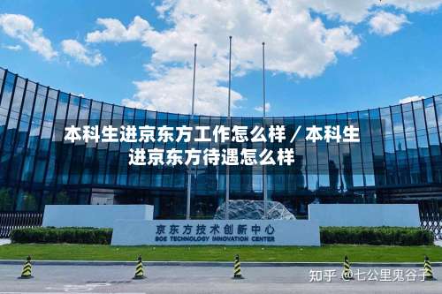 本科生进京东方工作怎么样／本科生进京东方待遇怎么样-第2张图片