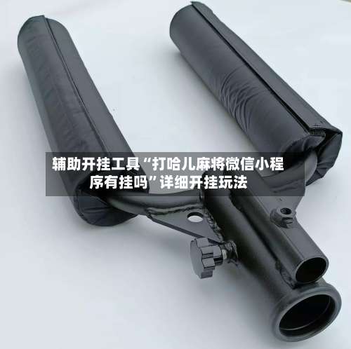 辅助开挂工具“打哈儿麻将微信小程序有挂吗”详细开挂玩法-第1张图片