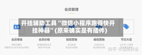 开挂辅助工具“微信小程序跑得快开挂神器”(原来确实是有插件)-第2张图片
