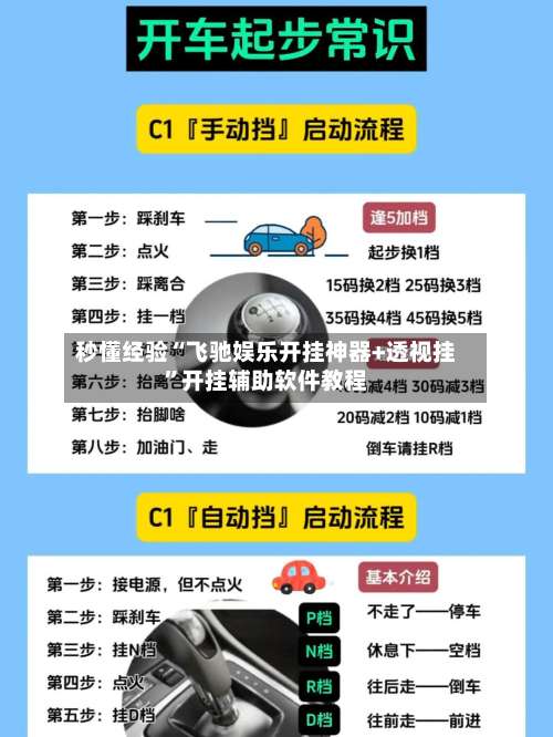 秒懂经验“飞驰娱乐开挂神器+透视挂”开挂辅助软件教程-第3张图片