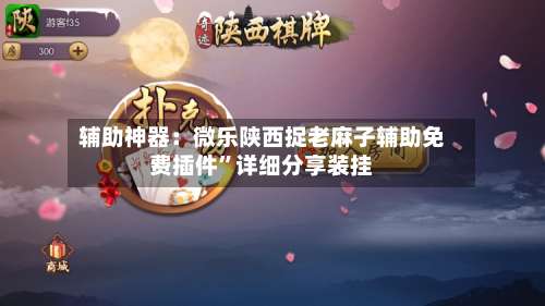 辅助神器：微乐陕西捉老麻子辅助免费插件”详细分享装挂-第3张图片