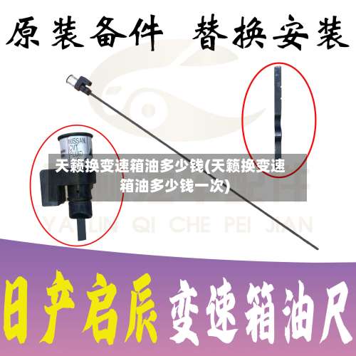 天籁换变速箱油多少钱(天籁换变速箱油多少钱一次)-第1张图片