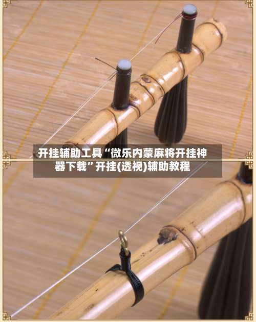 开挂辅助工具“微乐内蒙麻将开挂神器下载”开挂(透视)辅助教程-第3张图片