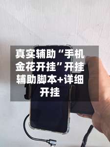 真实辅助“手机金花开挂”开挂辅助脚本+详细开挂-第2张图片