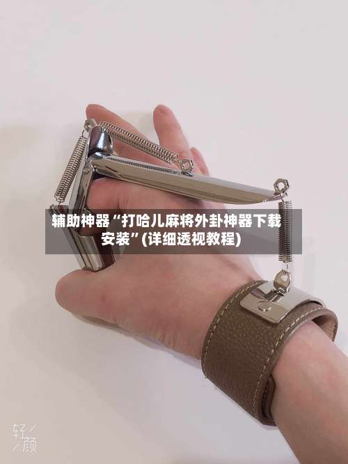 辅助神器“打哈儿麻将外卦神器下载安装	”(详细透视教程)-第1张图片
