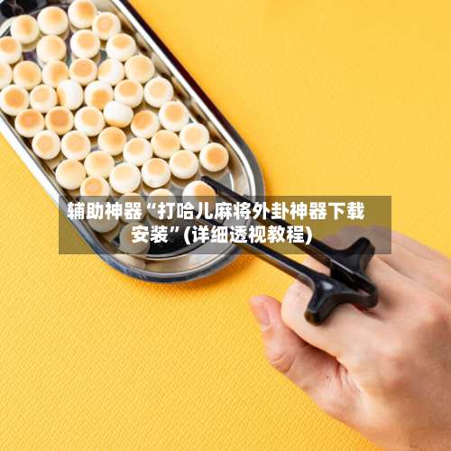 辅助神器“打哈儿麻将外卦神器下载安装”(详细透视教程)-第2张图片