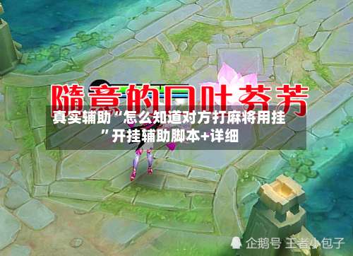 真实辅助“怎么知道对方打麻将用挂”开挂辅助脚本+详细-第1张图片