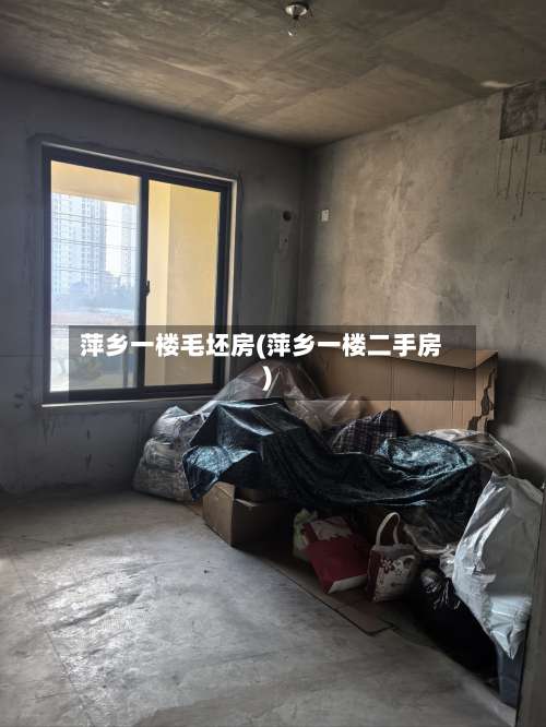 萍乡一楼毛坯房(萍乡一楼二手房)-第1张图片