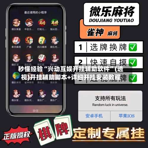秒懂经验“兴动互娱开挂辅助软件”(透视)开挂辅助脚本+详细开挂安装教程-第1张图片