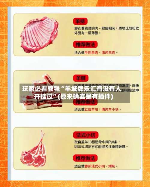 玩家必看教程“羊城牌乐汇有没有人开挂过”(原来确实是有插件)-第2张图片