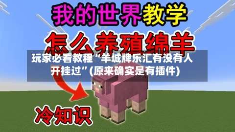 玩家必看教程“羊城牌乐汇有没有人开挂过	”(原来确实是有插件)-第1张图片