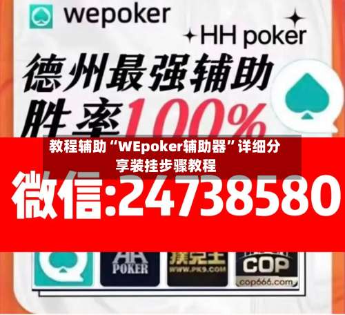 教程辅助“WEpoker辅助器”详细分享装挂步骤教程-第3张图片