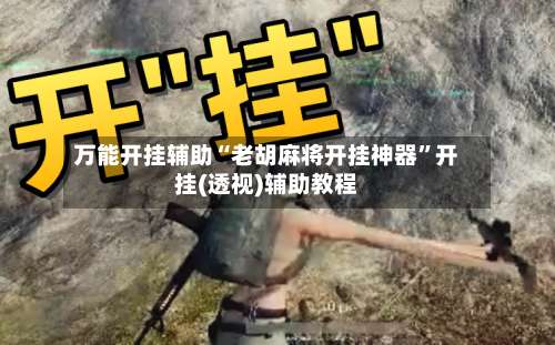 万能开挂辅助“老胡麻将开挂神器”开挂(透视)辅助教程-第3张图片