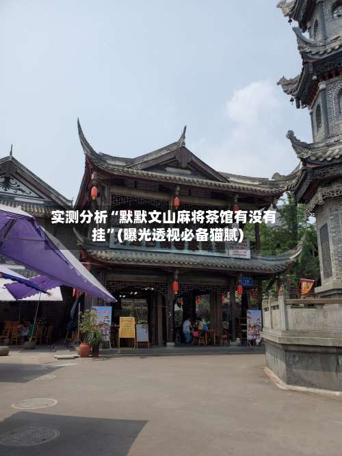 实测分析“默默文山麻将茶馆有没有挂”(曝光透视必备猫腻)-第2张图片