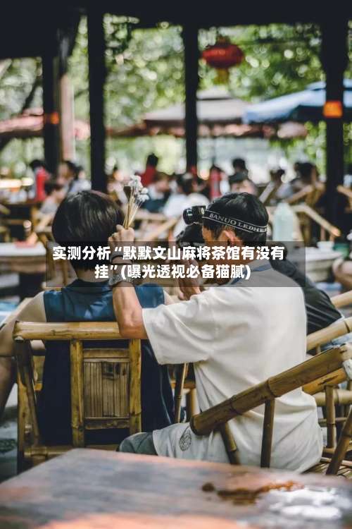 实测分析“默默文山麻将茶馆有没有挂	”(曝光透视必备猫腻)-第1张图片