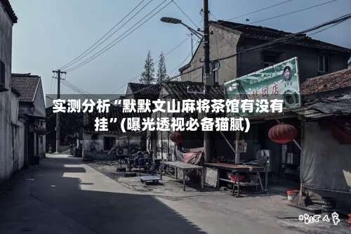 实测分析“默默文山麻将茶馆有没有挂”(曝光透视必备猫腻)-第3张图片