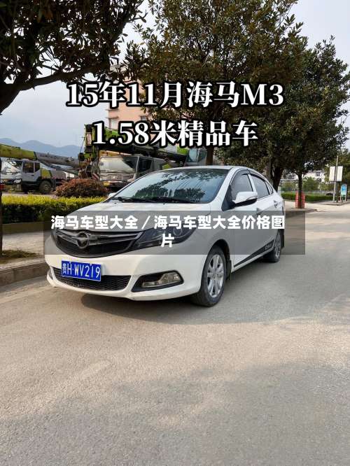 海马车型大全／海马车型大全价格图片-第1张图片