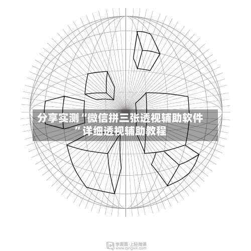 分享实测“微信拼三张透视辅助软件	”详细透视辅助教程-第1张图片