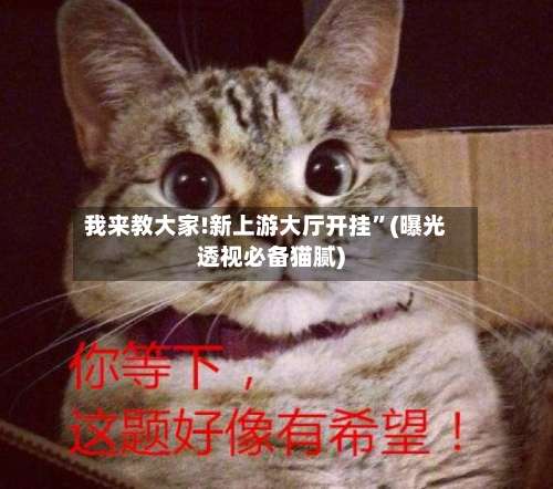 我来教大家!新上游大厅开挂”(曝光透视必备猫腻)-第1张图片