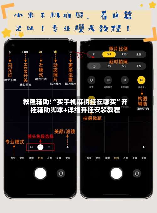教程辅助!“买手机麻将挂在哪买”开挂辅助脚本+详细开挂安装教程-第2张图片