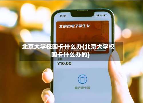 北京大学校园卡什么办(北京大学校园卡什么办的)-第2张图片