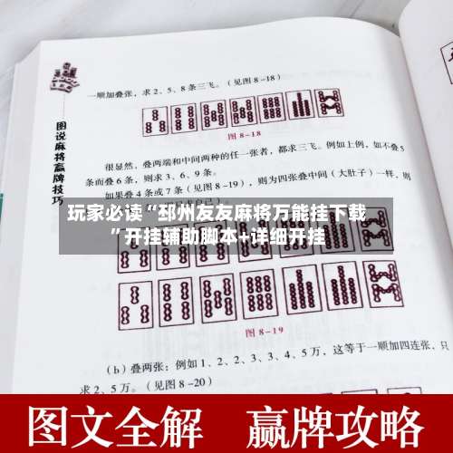 玩家必读“邳州友友麻将万能挂下载	”开挂辅助脚本+详细开挂-第2张图片