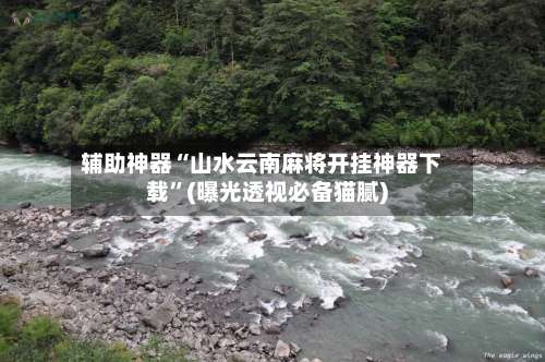 辅助神器“山水云南麻将开挂神器下载	”(曝光透视必备猫腻)-第2张图片