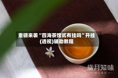 重磅来袭“四海茶馆贰有挂吗”开挂(透视)辅助教程-第3张图片