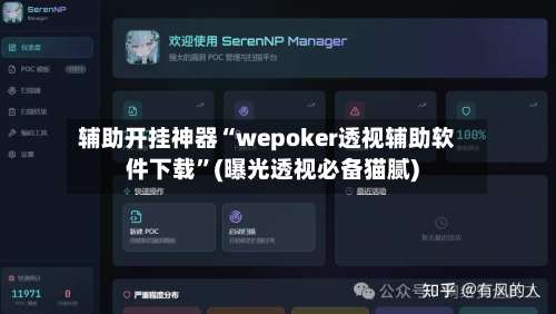 辅助开挂神器“wepoker透视辅助软件下载	”(曝光透视必备猫腻)-第3张图片