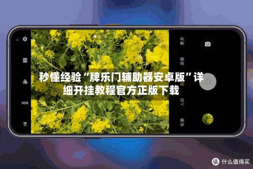 秒懂经验“牌乐门辅助器安卓版”详细开挂教程官方正版下载-第2张图片