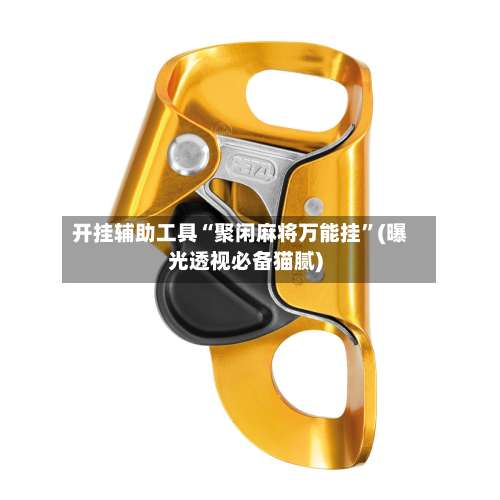 开挂辅助工具“聚闲麻将万能挂”(曝光透视必备猫腻)-第1张图片