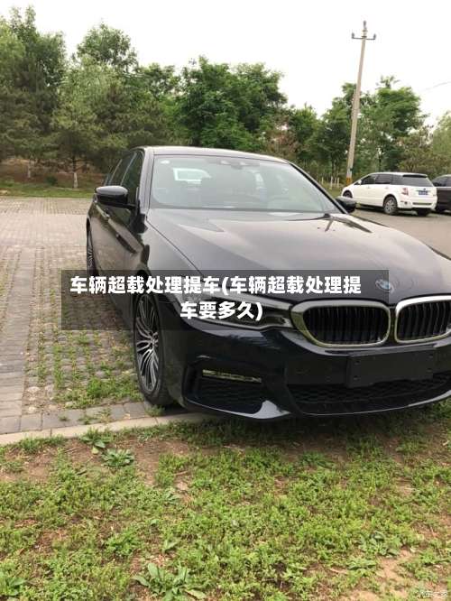 车辆超载处理提车(车辆超载处理提车要多久)-第3张图片