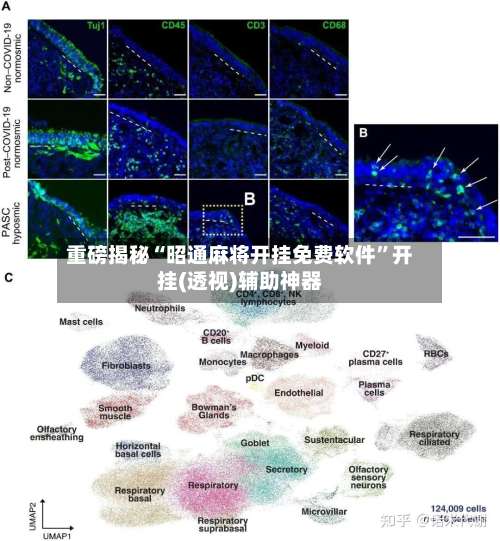 重磅揭秘“昭通麻将开挂免费软件”开挂(透视)辅助神器-第2张图片