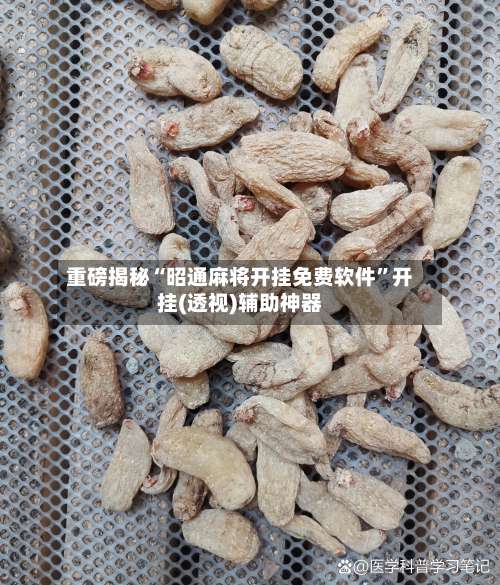 重磅揭秘“昭通麻将开挂免费软件	”开挂(透视)辅助神器-第1张图片